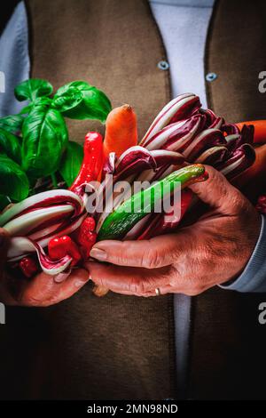 Ortaggi e frutta fresca, coltivati e raccolti in campagna in una mano Foto Stock