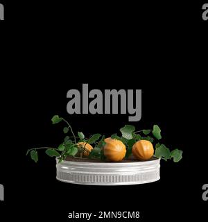 3d illustrazione di zucche cresciute in pentole metalliche isolate su sfondo nero Foto Stock
