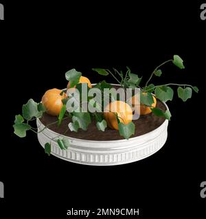 3d illustrazione di zucche cresciute in pentole metalliche isolate su sfondo nero Foto Stock
