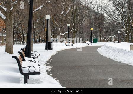 Ottawa, Canada - 23 gennaio 2023: Road in Major's Hill Park nella stagione invernale. Parco cittadino con neve in centro Foto Stock