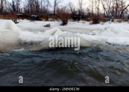 Il primo ghiaccio debole sorge in onde da una forte corrente e vento d'acqua vicino alla riva con alberi forestali. Foto Stock