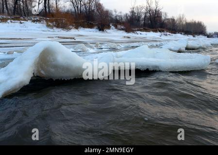 Il ghiaccio debole sorge in onde da una forte corrente e vento d'acqua vicino alla riva con alberi forestali. Foto Stock