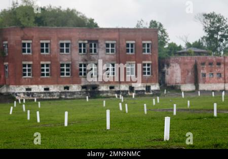In this May 23, 2018 photo, each white marker denotes a mass grave of about 150 people on Hart Island in New York. Officials let reporters get a rare look at Hart Island, the place that has served as New York City’s potter’s field for 150 years. (AP Photo/Seth Wenig)