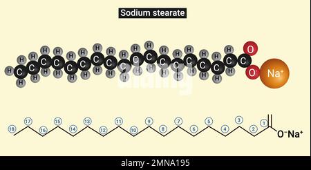 Struttura dello stearato di sodio : sale dell'acido stearico (C17H35COOH) (sapone) Illustrazione Vettoriale