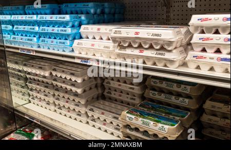 Cartoni di uovo impilati in un negozio in vendita in un negozio a Pittsburgh, Pennsylvania, Stati Uniti Foto Stock