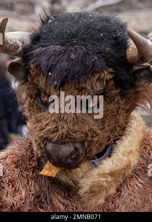 Partecipante con maschera di bisonte di bufalo al Surva International Masquerade and Mummers Festival di Pernik, Bulgaria, Europa orientale, Balcani, UE Foto Stock