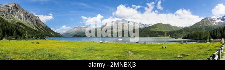 Cantone di Graubünden, Svizzera: Panorama del lago di Maloja Foto Stock