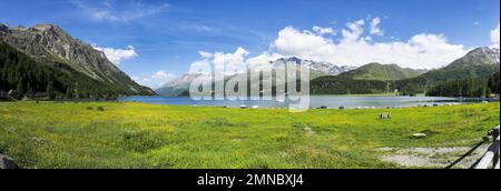 Cantone di Graubünden, Svizzera: Panorama del lago di Maloja Foto Stock