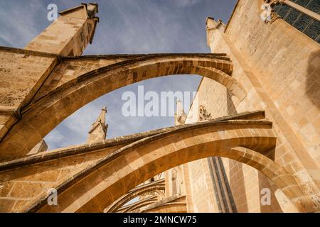 Contrafforti volanti, Cattedrale di Mallorca, 13th ° secolo, monumento storico-artistico, Palma, maiorca, isole baleari, spagna, europa Foto Stock