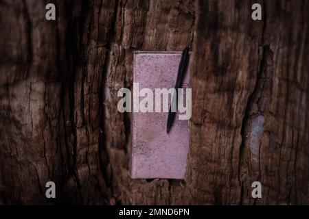 Libro degli ospiti all'interno di Tülivere hiie tamm (quercia sacra di Tülivere), albero sacro protetto a livello nazionale in Kuusalu, Estonia. Foto Stock