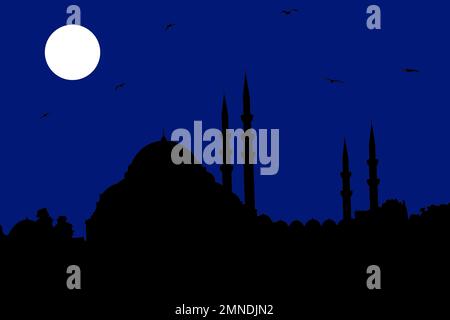 Moschea Suleymaniye Istanbul come vettore di silhouette. Una delle mie foto è stata disegnata da me. Foto Stock