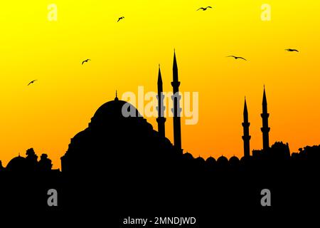 Moschea Suleymaniye Istanbul al tramonto come vettore di silhouette. Una delle mie foto è stata disegnata da me. Foto Stock