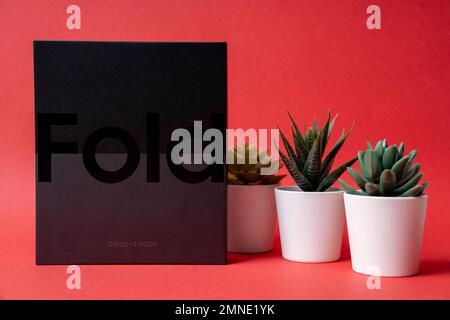 Samsung Galaxy Z Fold 4 in confezione originale. Su sfondo rosso. Foto Stock