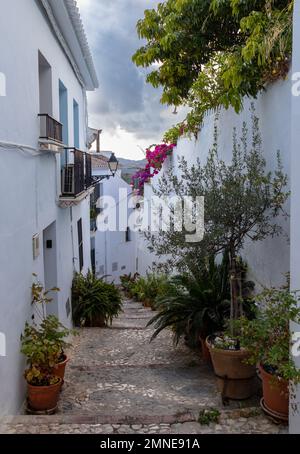 Calle típica de Frigiliana, Málaga, uno de los pueblos más bonitos de España. Con sus paredes blancas, sus calles estrechas y con muchas scaleras Foto Stock