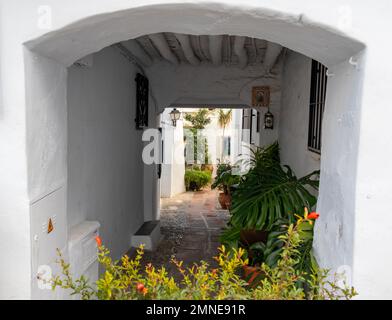 Calle típica de Frigiliana, Málaga, uno de los pueblos más bonitos de España. Con sus paredes blancas, sus calles estrechas y con muchas scaleras Foto Stock