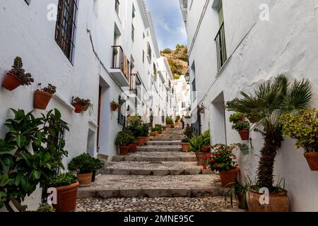 Calle típica de Frigiliana, Málaga, uno de los pueblos más bonitos de España. Con sus paredes blancas, sus calles estrechas y con muchas scaleras Foto Stock