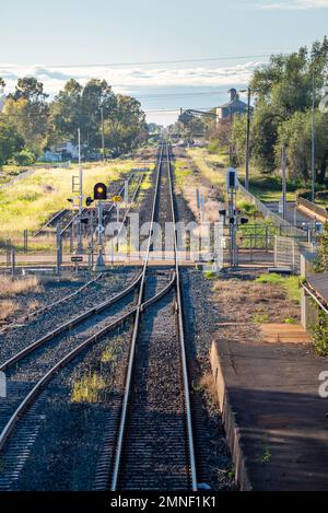 Guardando verso sud-est verso Dubbo lungo la linea ferroviaria di trasporto merci dalla stazione ferroviaria di Nyngan nella parte centrale occidentale del nuovo Galles del Sud, Australia Foto Stock