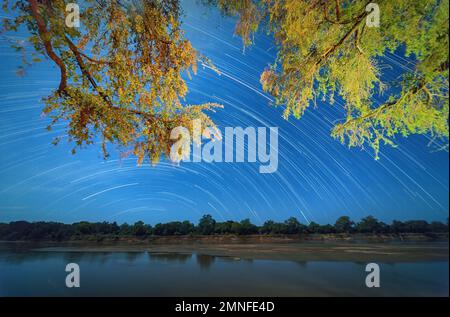 Stelle sul fiume Luangwa. Zambia settentrionale Foto Stock