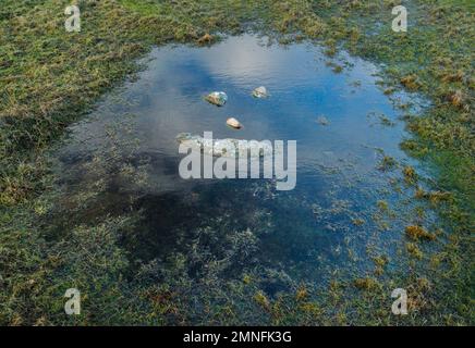 Un sorriso naturale fatto di pietre nel mezzo di una pozza d'acqua nelle Highlands della Scozia Foto Stock