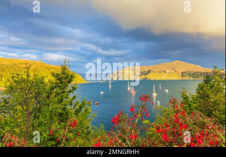 Foto di Loch Portree sull'isola di Skye in Scozia in prima serata al sole basso fotografato nel settembre 2014 Foto Stock