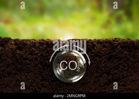 Formula del carbonio in una sfera trasparente sottoterra, su sfondo verde. Riduzione delle emissioni di carbonio, concetto di non emissione di carbonio. Gas a effetto serra zero netto Foto Stock