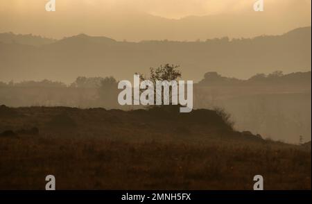 Strati di colline vistose all'alba, alberi in nebbia, Wichita Mountains Wildlife Refuge, Oklahoma Foto Stock