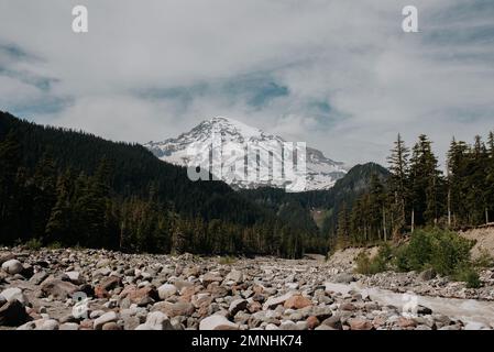 Alcune delle vette del Monte Rainier dal Wonderland Trail Foto Stock