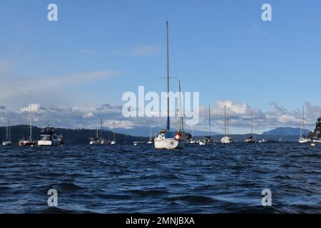 Barche ormeggiate a Brentwood Bay, al largo dell'Isola di Vancouver, in una frizzante giornata invernale. Foto Stock