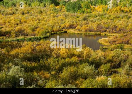 USA, Idaho, Sun Valley, laghetti Beaver in autunno Foto Stock