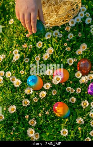 L'uovo di Pasqua Hunt.child raccoglie le uova colorate in un prato con margherite.Primavera festività religiosa.Pasqua cibo.la mano dei bambini mette le uova colorate in un vimini Foto Stock