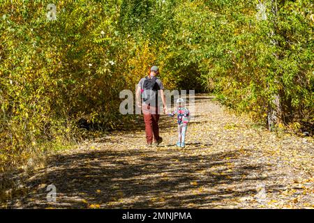 Stati Uniti, Idaho, Bellevue, Padre e figlia (6-7) passeggiata percorso rurale in autunno Foto Stock