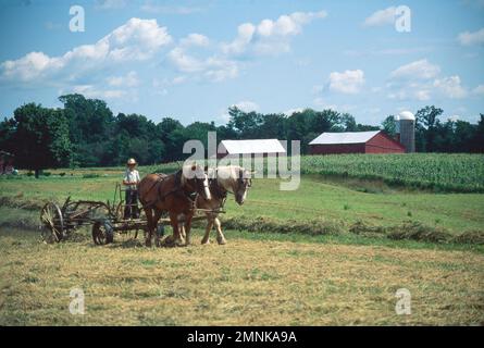 Giovane Amish ragazzo a cavallo di un pezzo di attrezzature agricole trainato da cavalli, facendo le sue faccende di fattoria Foto Stock