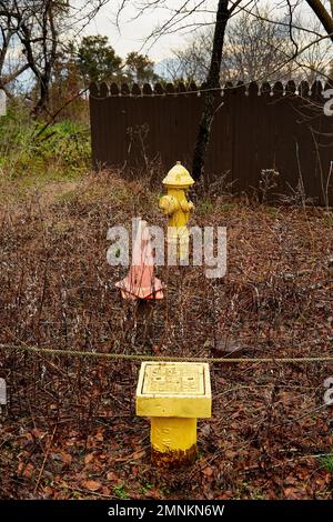 Coni di sicurezza giallo-idrante e arancione in campo di erba marrone Foto Stock