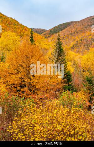 Colore del fogliame autunnale lungo il Cabot Trail, Cape Brreton Island, Nova Scotia, Canada. Foto Stock