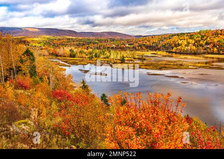 Colore del fogliame autunnale lungo il Cabot Trail, Cape Brreton Island, Nova Scotia, Canada. Foto Stock