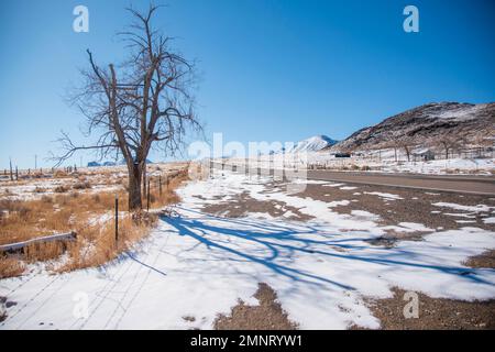 Warm Springs è una città abbandonata nella contea di Nye, Nevada, USA. Foto Stock