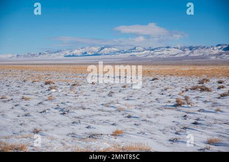 Warm Springs è una città abbandonata nella contea di Nye, Nevada, USA. Foto Stock