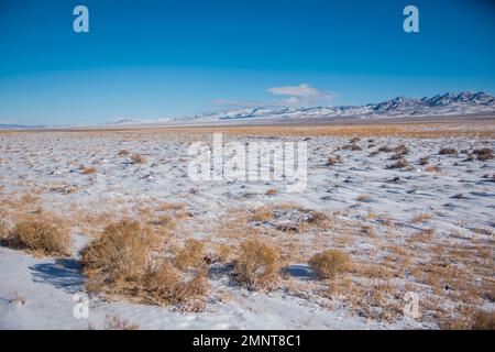 Warm Springs è una città abbandonata nella contea di Nye, Nevada, USA. Foto Stock