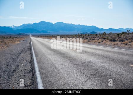 Warm Springs è una città abbandonata nella contea di Nye, Nevada, USA. Foto Stock