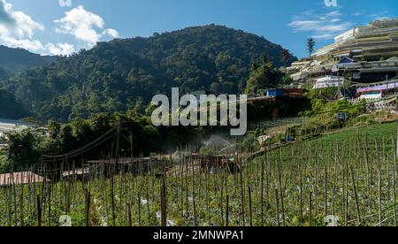 Sistema di irrigazione in funzione irrigazione piante agricole. Irrigatore che irrigua il campo vegetale in una giornata di sole. Paesaggio agricolo. Melanzana Foto Stock