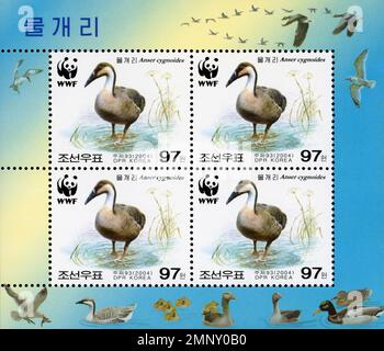 Foglio di francobolli nordcoreani del 2004 con l'oca dei cigni (Anser cygnoides) e il logo WWF, parte di una serie di conservazione della fauna selvatica. Foto Stock