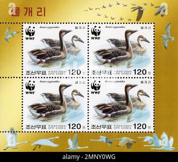 Foglio di francobolli nordcoreani del 2004 con la Swan Goose (Anser cygnoides) e il logo WWF. Foto Stock