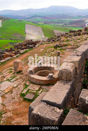 Battistero nelle rovine romane di Tiddis, Nord Africa, BNI Hamden, Algeria Foto Stock