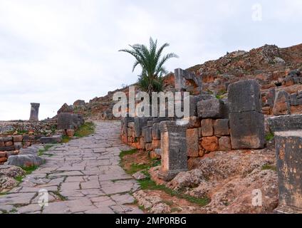 Sezione di piegatura di Cardo Maximus, Nord Africa, BNI Hamden, Algeria Foto Stock