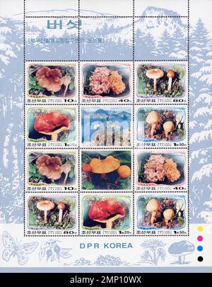 Foglio di francobolli nordcoreani con varie specie di funghi e un paesaggio del Monte Paektu. Foto Stock