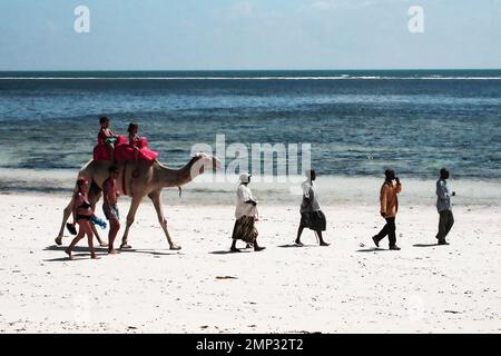 I turisti percorrono i cammelli lungo le spiagge di Malindi Kenya Foto Stock
