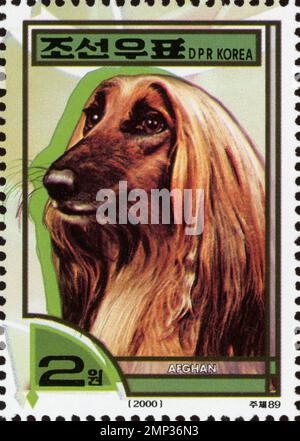 Francobollo nordcoreano del 2000 con un ritratto di un cane Hound afgano, taglio da 2 won. Foto Stock