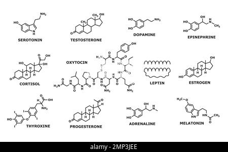 Formula ormonale. Medicina, chimica e biochimica scienza ricerca simboli linea, uomo e donna ormoni formule. Ossitocina e leptina, tiroxina, progesterone e struttura degli atomi di adrenalina Illustrazione Vettoriale