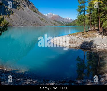 Alberi sulla riva di pietra del lago Shavlinskoe all'ombra con pietre tra le montagne con riflessione in Altai. Foto Stock