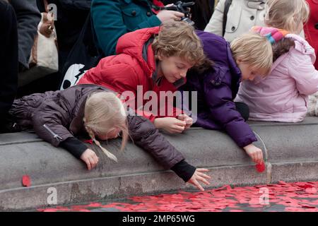 I bambini giocano con i papaveri nella fontana all'annuale evento Silence in the Square che si tiene a Trafalgar Square. La cerimonia che ha commemorato coloro che sono morti in due guerre mondiali, tra cui 385 membri del personale britannico uccisi in Afghanistan dal 2001, è iniziata alle 11:00 del mattino, rispecchiando allo stesso tempo le pistole lungo il fronte occidentale sono caduti in silenzio per l'ultima volta alla fine della prima guerra mondiale nel 1918. Nel Regno Unito milioni di persone hanno osservato un silenzio di due minuti per celebrare la Giornata dell'armistizio. Londra, Regno Unito. 11th novembre 2011. Foto Stock